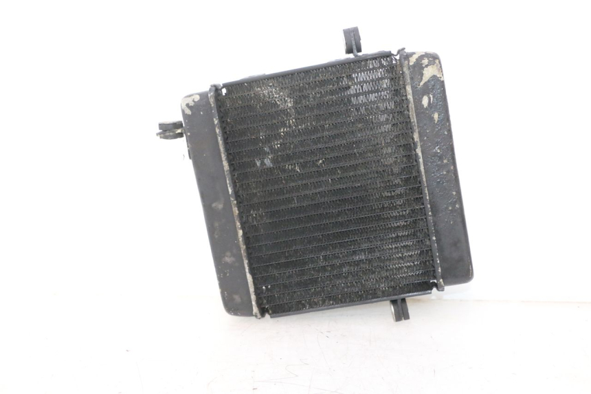 photo de RADIATEUR HONDA FES PANTHEON 2T 125 (1998 - 2002) - État de surface