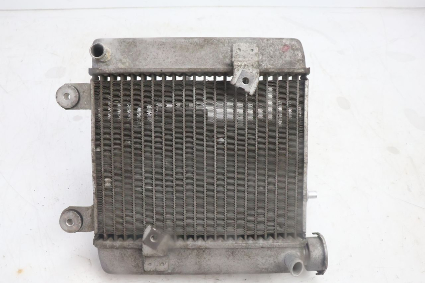 photo de RADIATEUR HONDA FES PANTHEON 125 (2003 - 2007) - Vue principale