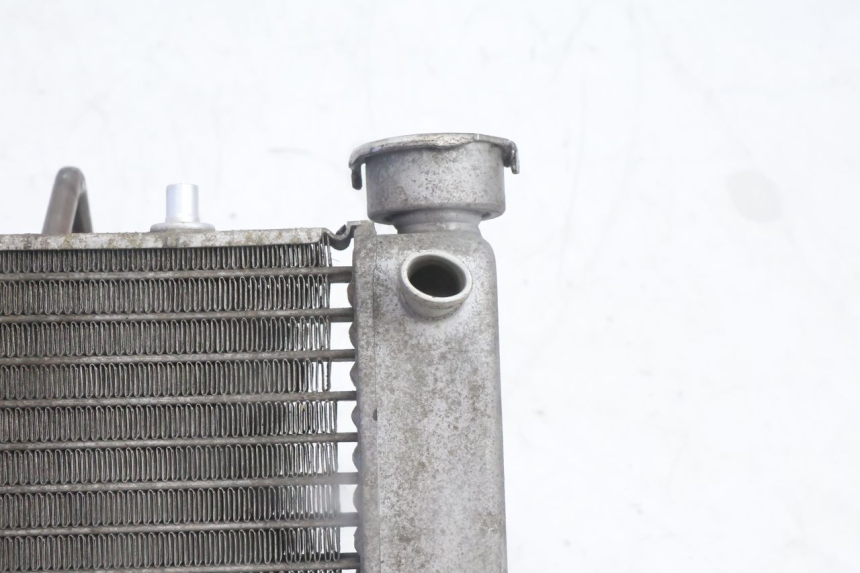 photo de RADIATEUR HONDA FES PANTHEON 125 (2003 - 2007) - Détail de la pièce