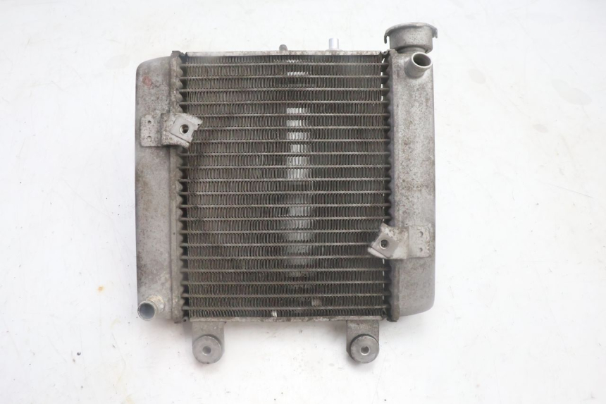 photo de RADIATEUR HONDA FES PANTHEON 125 (2003 - 2007) - Zoom état d’usage