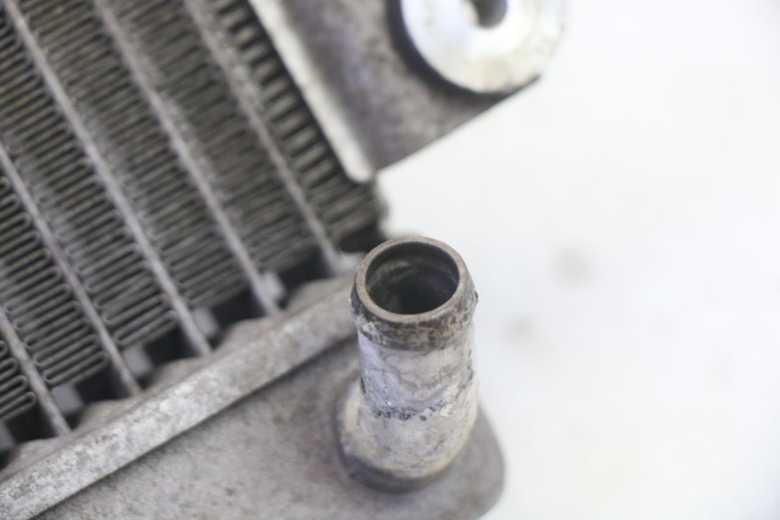 photo de RADIATEUR HONDA FES S-WING SWING ABS 125 (2007 - 2015)