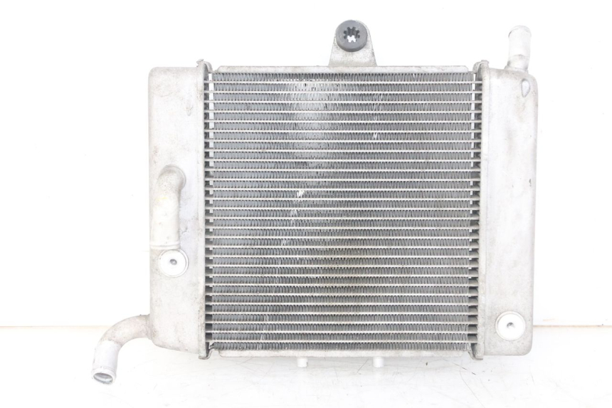 photo de RADIATEUR HONDA FORZA ABS 300 (2013 - 2019)