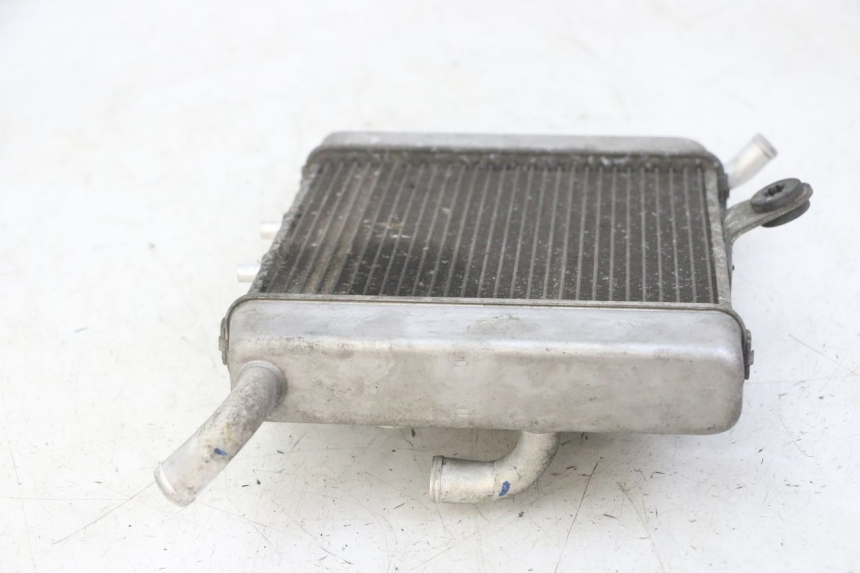 photo de RADIATEUR HONDA FORZA ABS 300 (2013 - 2019)