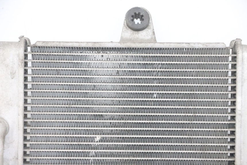photo de RADIATEUR HONDA FORZA ABS 300 (2013 - 2019)