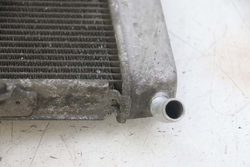 photo de RADIATEUR HONDA FORZA ABS 300 (2013 - 2019)