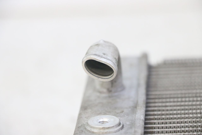 photo de RADIATEUR HONDA FORZA ABS 300 (2013 - 2019)