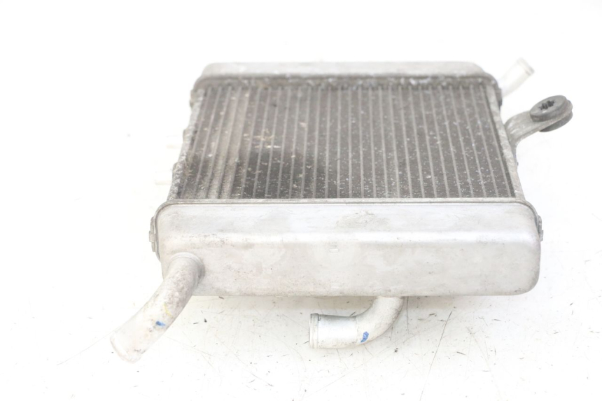photo de RADIATEUR HONDA FORZA ABS 300 (2013 - 2019)