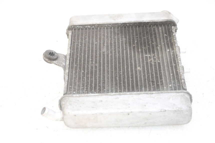 photo de RADIATEUR HONDA FORZA ABS 300 (2013 - 2019)
