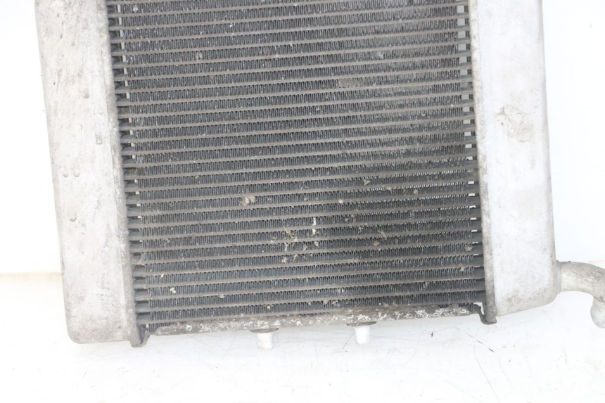 photo de RADIATEUR HONDA FORZA ABS 300 (2013 - 2019)