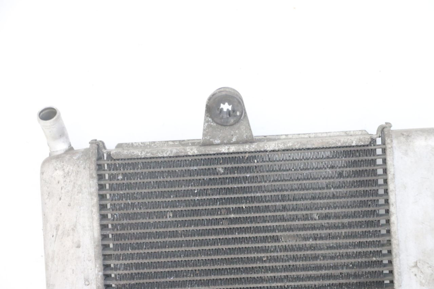photo de RADIATEUR HONDA FORZA ABS 300 (2013 - 2019)
