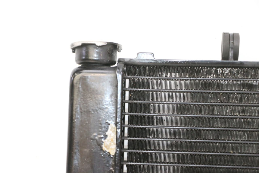 photo de RADIATEUR YAMAHA FZ6 N FAZER 600 (2004 - 2006)