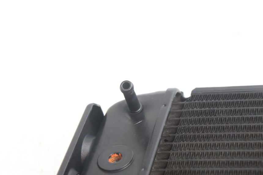photo de RADIATEUR YAMAHA FZ8 800 (2010 - 2016) - Vue produit
