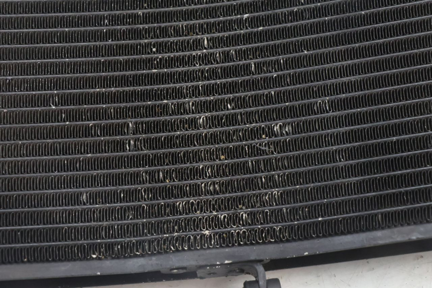 photo de RADIATEUR YAMAHA FZ8 800 (2010 - 2016) - Autre angle de vue