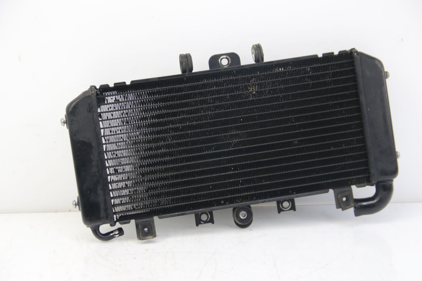 photo de RADIATEUR YAMAHA FZS FAZER 600 (2001 - 2003) - Vue principale