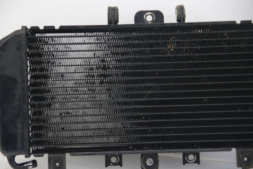 photo de RADIATEUR YAMAHA FZS FAZER 600 (2001 - 2003) - Vue produit