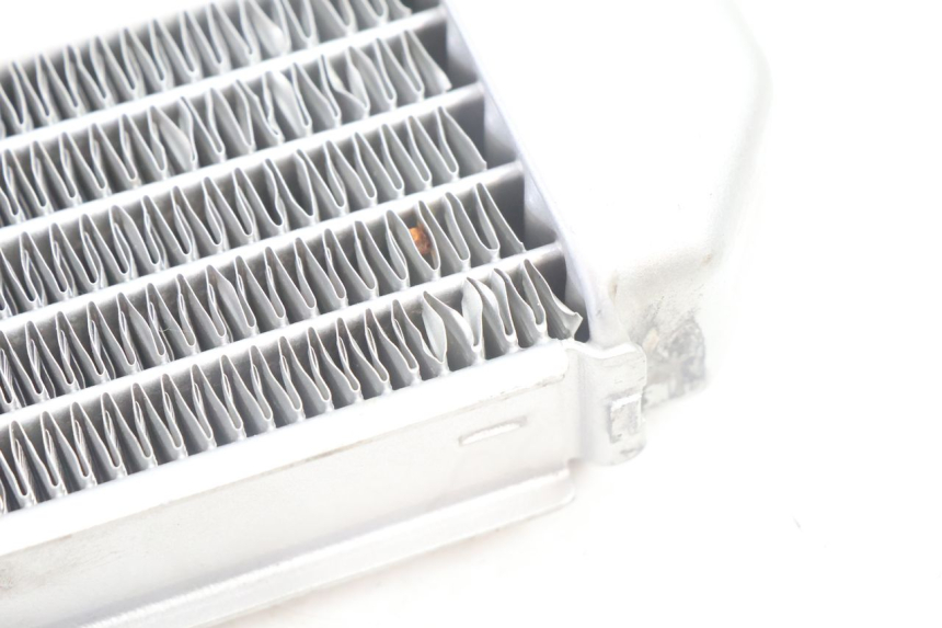 photo de RADIATEUR GAUCHE PEUGEOT LUDIX BLASTER 50 (2006 - 2014) - Zoom état d’usage