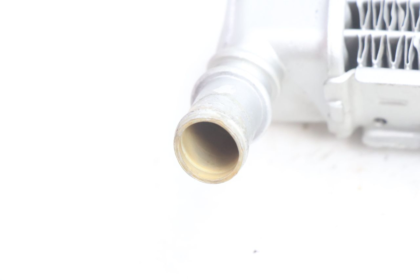 photo de RADIATEUR GAUCHE PEUGEOT LUDIX BLASTER 50 (2006 - 2014) - Vue d’ensemble