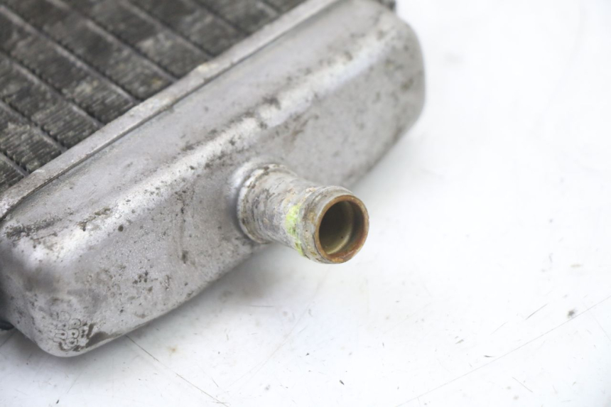 photo de RADIATEUR GAUCHE PIAGGIO VESPA GRANTURISMO 125 (2003 - 2007)