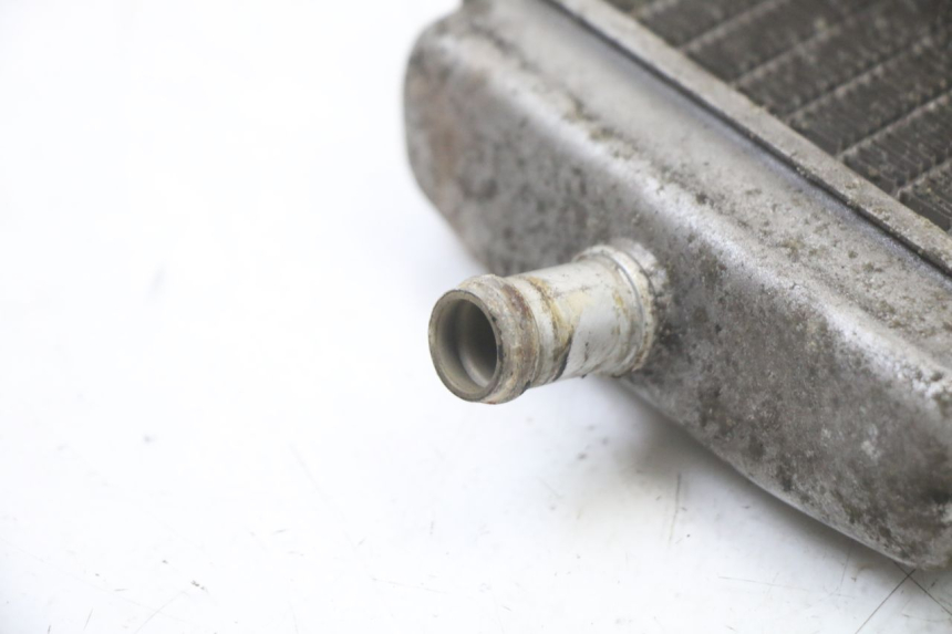 photo de RADIATEUR GAUCHE PIAGGIO VESPA GRANTURISMO 125 (2003 - 2007)