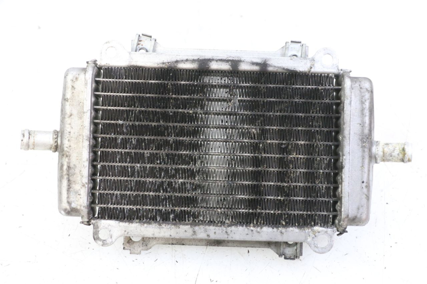 photo de RADIATEUR GAUCHE PIAGGIO VESPA GRANTURISMO 200 (2004 - 2005)