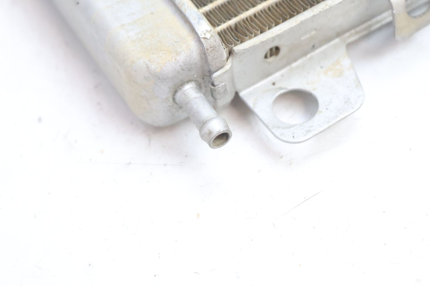 photo de RADIATEUR GAUCHE BOOM TRIKE FUN 500 (2004 - 2010) - Zoom composants