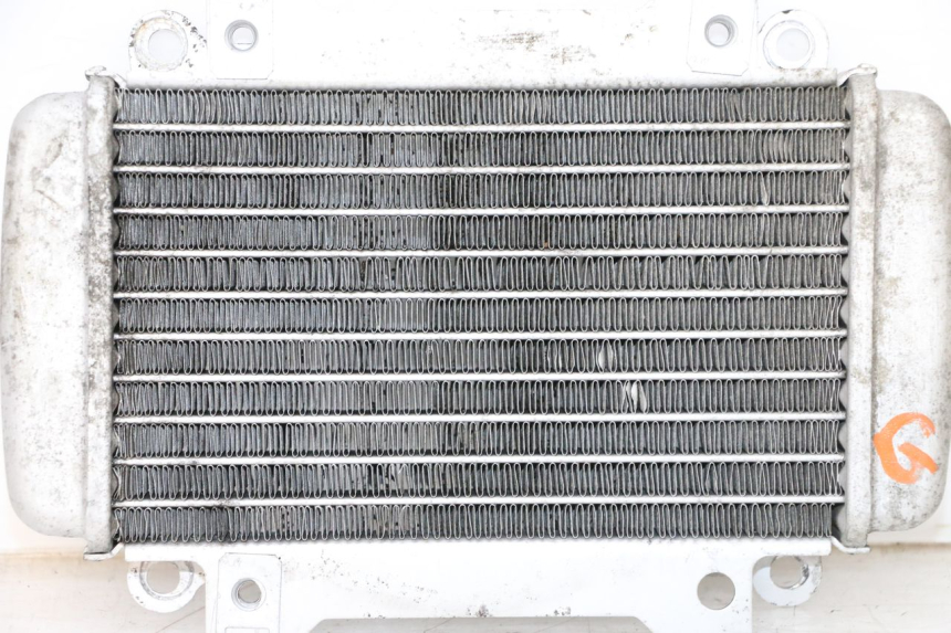 photo de RADIATEUR GAUCHE PIAGGIO VESPA GTS SUPER IE 125 (2009 - 2016) - État de surface
