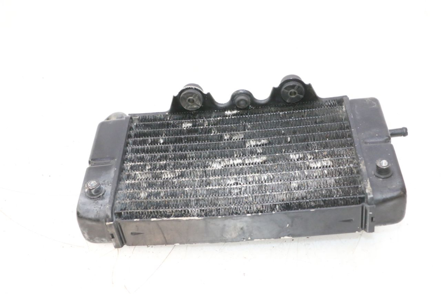 photo de RADIATEUR GAUCHE HONDA XRV AFRICA TWIN 750 (1990 - 1992) - Zoom état d’usage