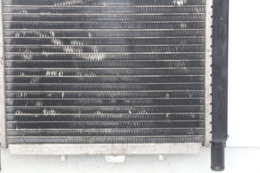 photo de RADIATEUR PEUGEOT GEOPOLIS 400 (2007 - 2013)