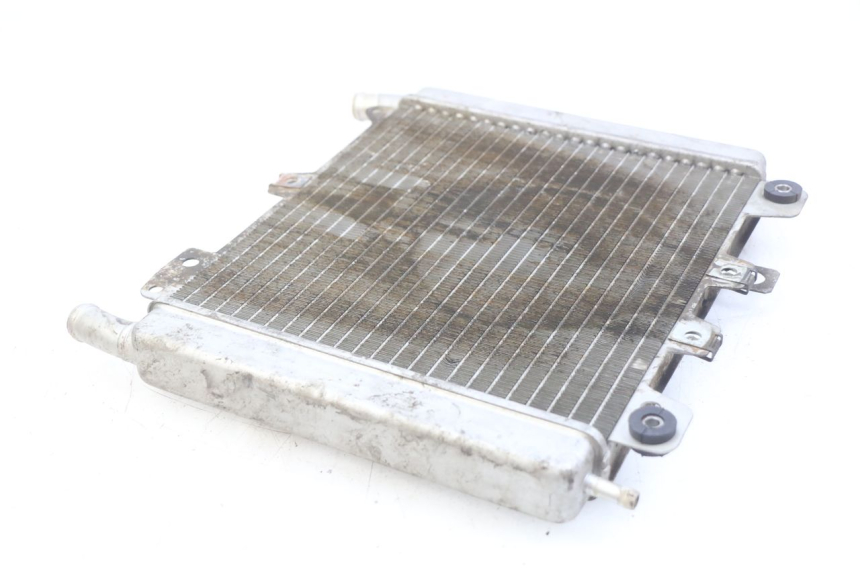 photo de RADIATEUR GILERA NEXUS 125 (2007 - 2009)