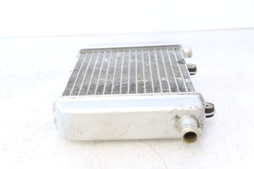 photo de RADIATEUR NECO GPX LC 2T 50 (2014 - 2018) - Vue produit