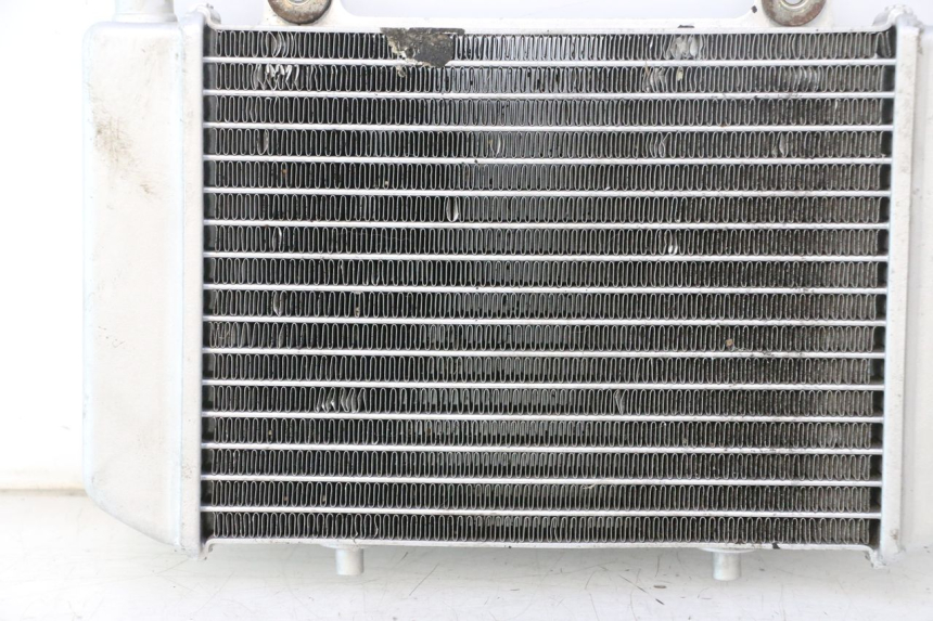 photo de RADIATEUR NECO GPX LC 2T 50 (2014 - 2018) - Gros plan technique