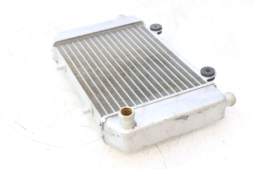 photo de RADIATEUR NECO GPX LC 2T 50 (2014 - 2018) - État de surface