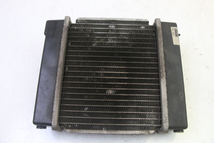 photo de RADIATEUR KYMCO GRAND DINK 125 (2008 - 2014)
