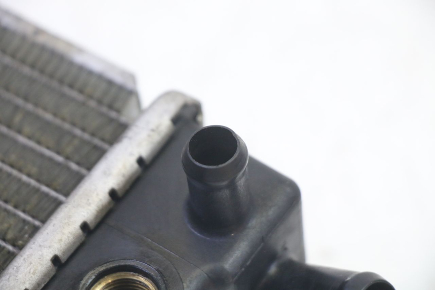 photo de RADIATEUR KYMCO GRAND DINK 125 (2002 - 2007)