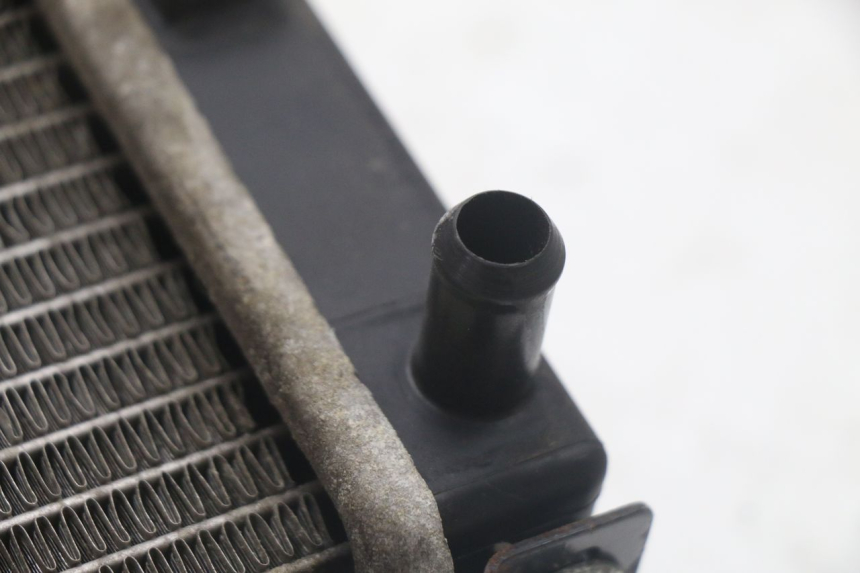 photo de RADIATEUR SYM GTS EVO 125 (2009 - 2013) - Vue d’ensemble