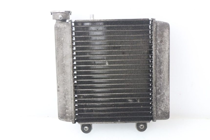 photo de RADIATEUR HONDA FES PANTHEON 125 (2003 - 2007)