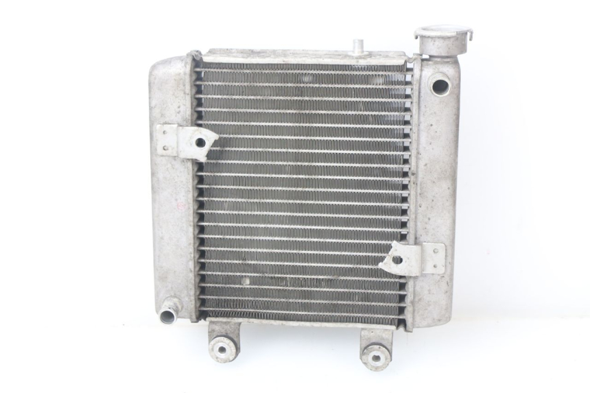 photo de RADIATEUR HONDA FES PANTHEON 125 (2003 - 2007)