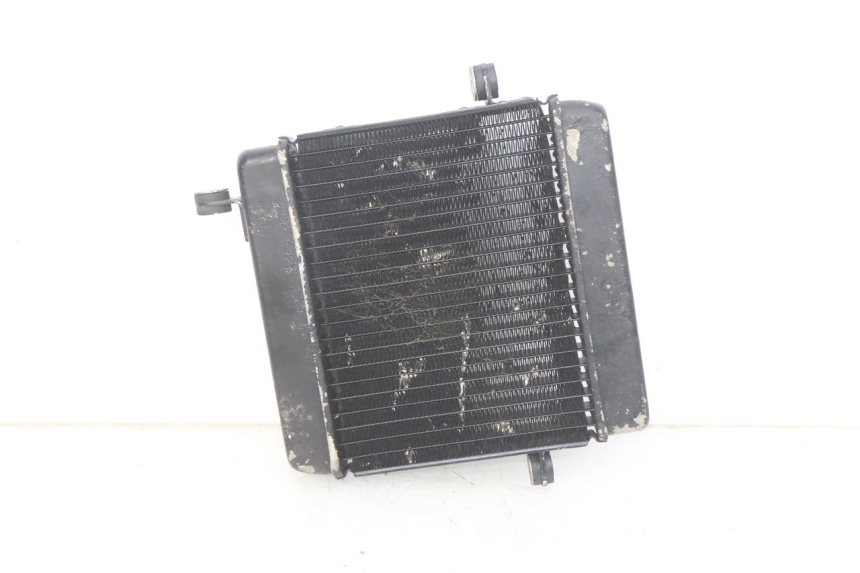 photo de RADIATEUR HONDA FES PANTHEON 2T 125 (1998 - 2002)
