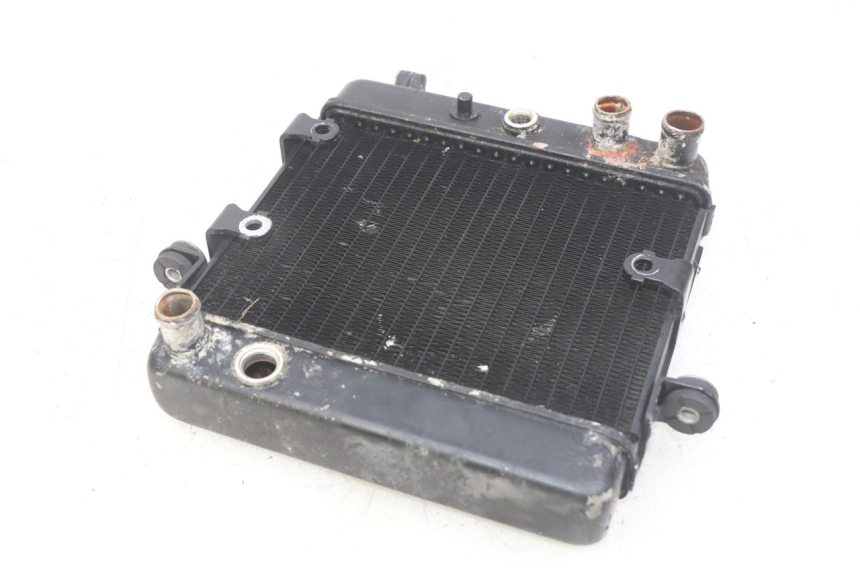photo de RADIATEUR HONDA FES PANTHEON 2T 125 (1998 - 2002)