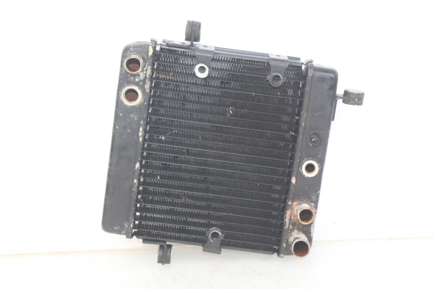 photo de RADIATEUR HONDA FES PANTHEON 2T 125 (1998 - 2002)