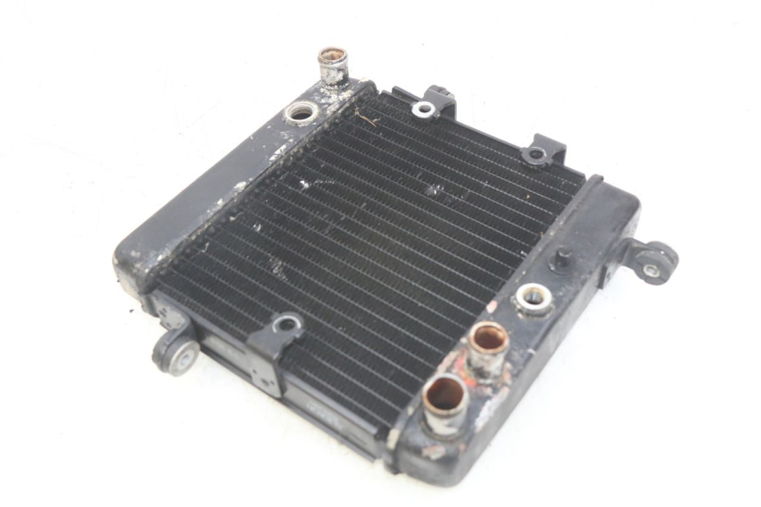 photo de RADIATEUR HONDA FES PANTHEON 2T 125 (1998 - 2002)