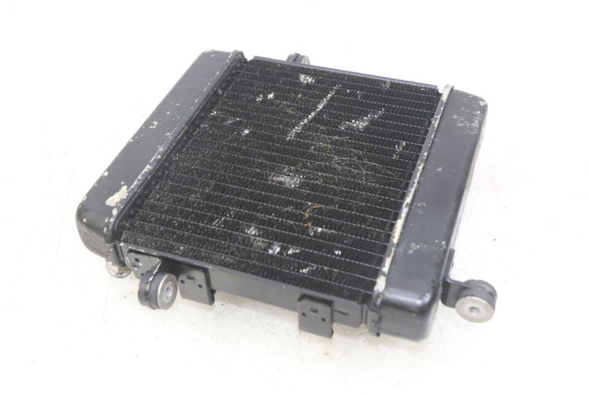 photo de RADIATEUR HONDA FES PANTHEON 2T 125 (1998 - 2002)