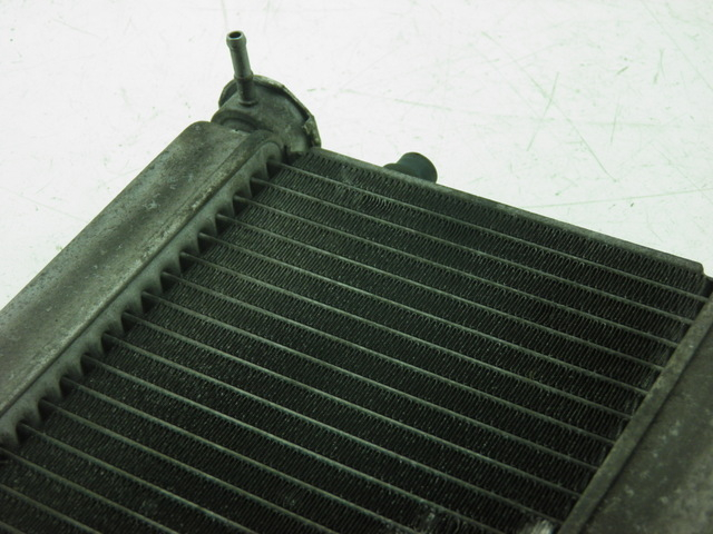 photo de RADIATEUR HONDA FES S-WING SWING 125 (2007 - 2015) - Détail de la pièce