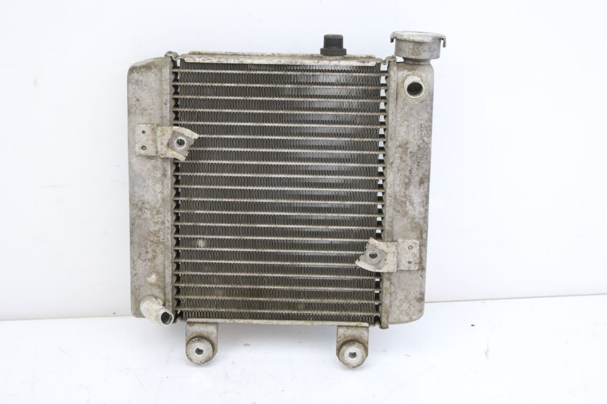 photo de RADIATEUR HONDA FES S-WING SWING ABS 125 (2007 - 2015)