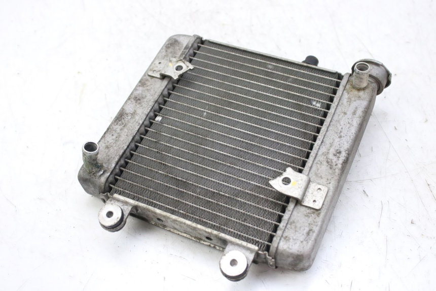 photo de RADIATEUR HONDA FES S-WING SWING ABS 125 (2007 - 2015)