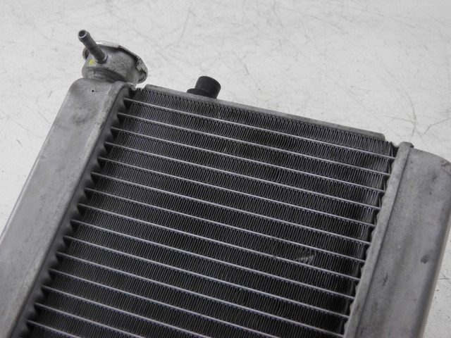 photo de RADIATEUR HONDA FES S-WING SWING ABS 125 (2007 - 2015)