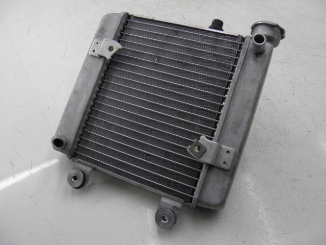 photo de RADIATEUR HONDA FES S-WING SWING ABS 125 (2007 - 2015)