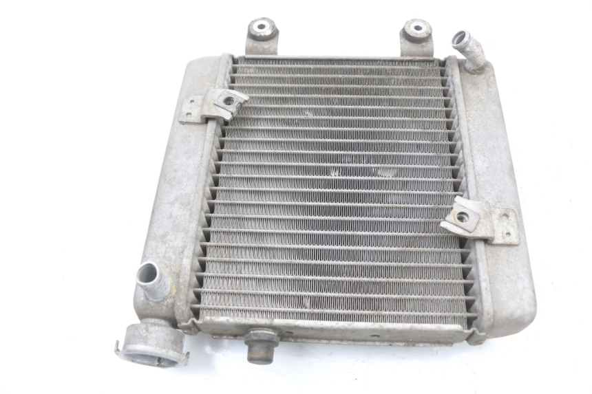 photo de RADIATEUR HONDA FES S-WING SWING ABS 125 (2007 - 2015)