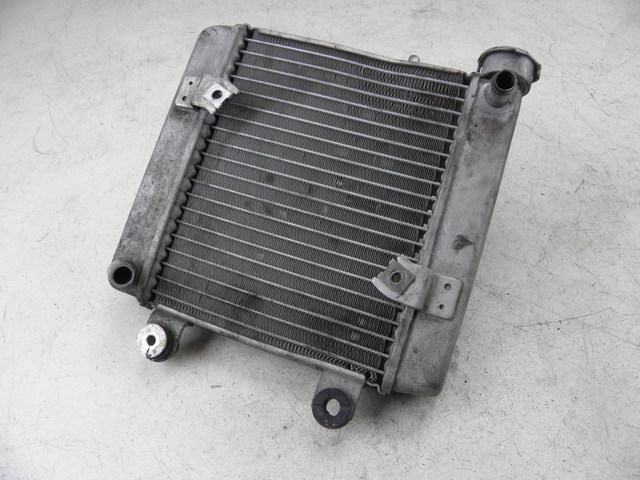 photo de RADIATEUR HONDA FES S-WING SWING ABS 125 (2007 - 2015)