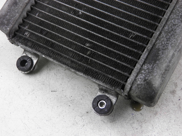 photo de RADIATEUR HONDA FES S-WING SWING ABS 125 (2007 - 2015)